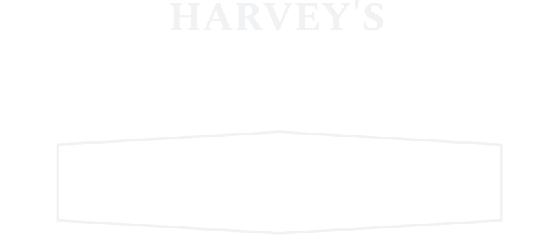 Academy of Gymnastics Rocky Hill, CT logo